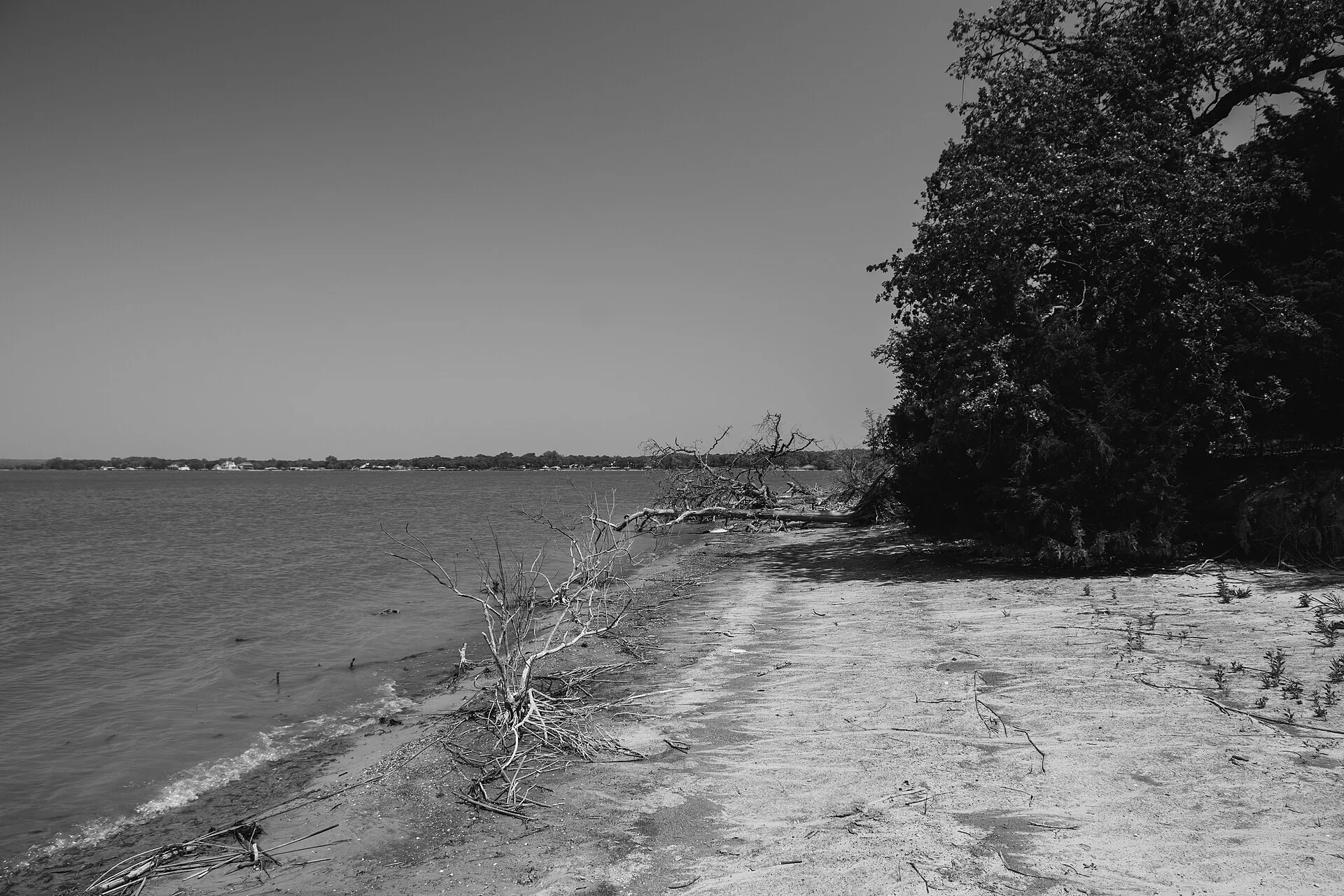 Lakeshore at Eagle Mountain Lake Park — nearby landmark for Pelican Bay
