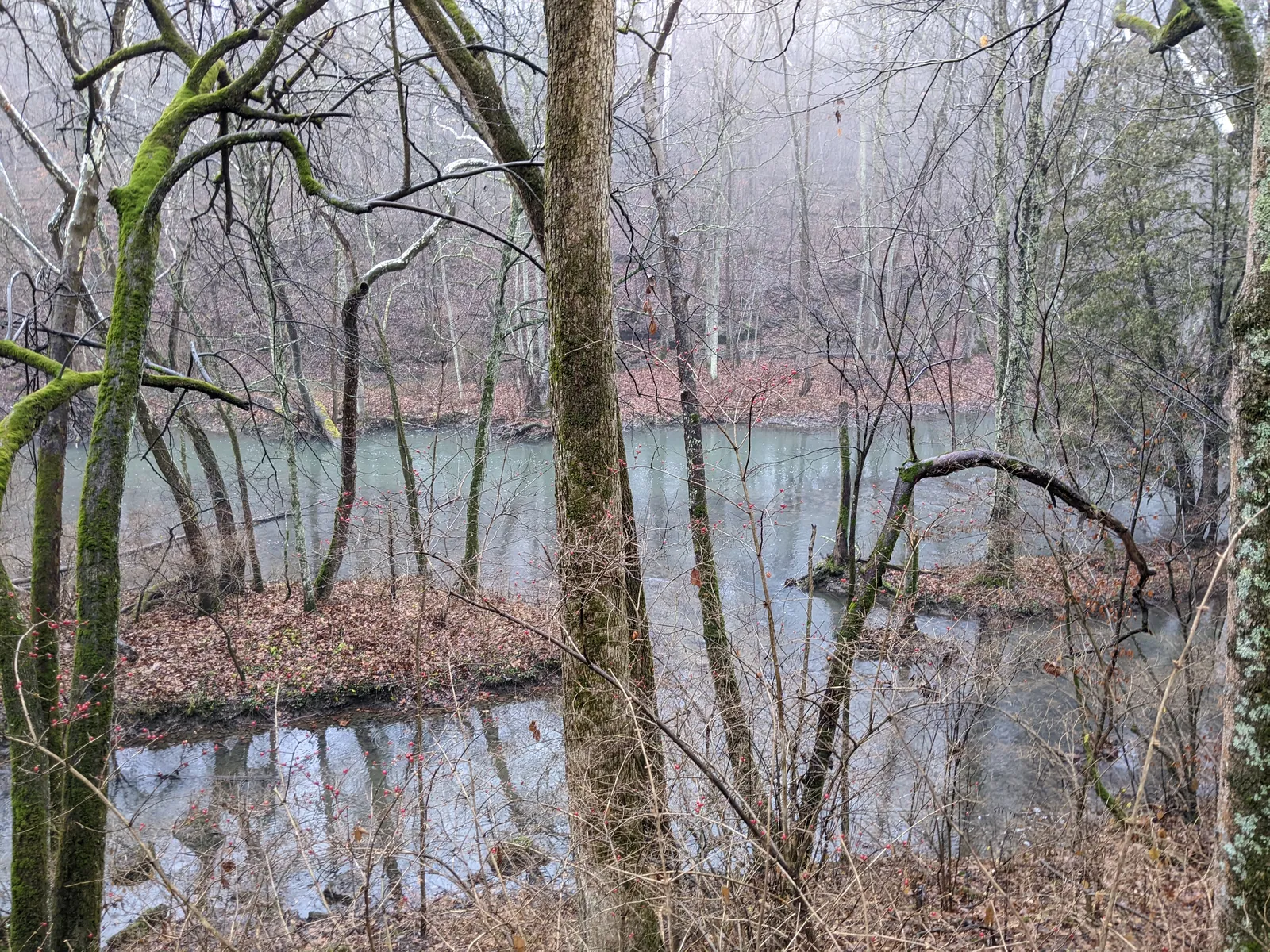 The Little Miami River passing through Clifton Gorge State Nature Preserve on December 18th, 2021.jpg.