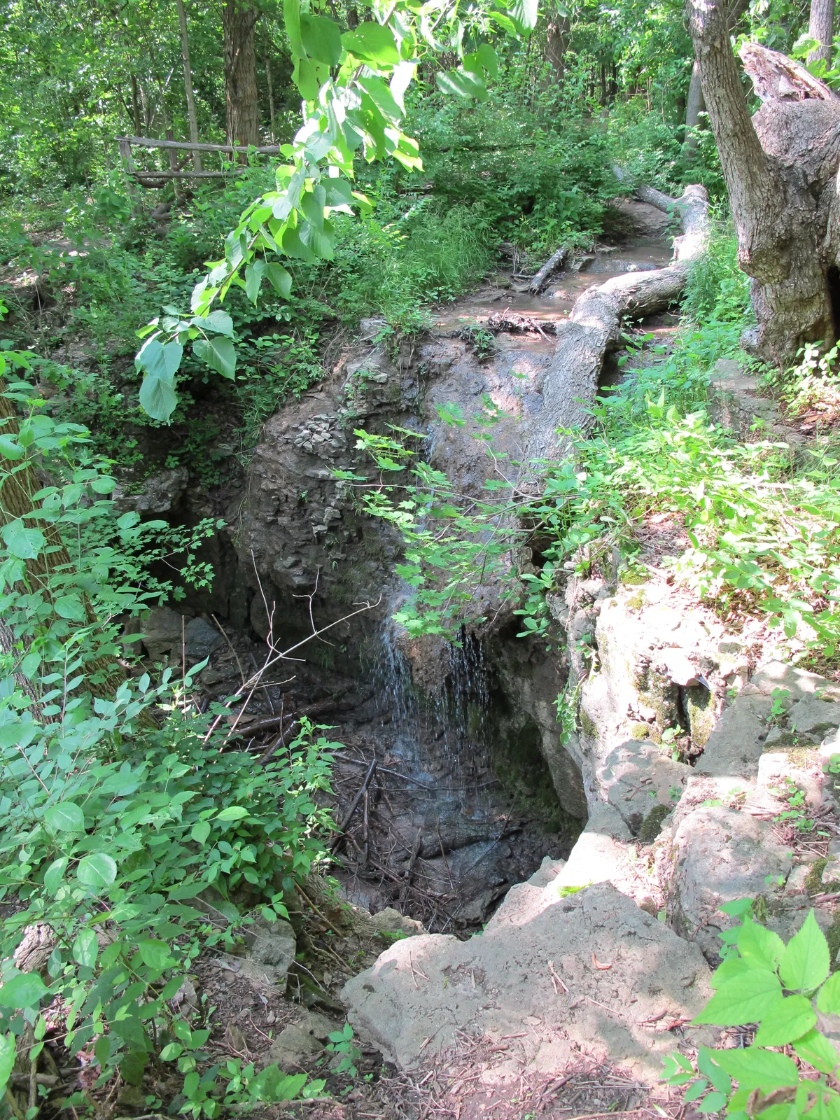 Pattyfalls Englewood MetroPark.jpeg.