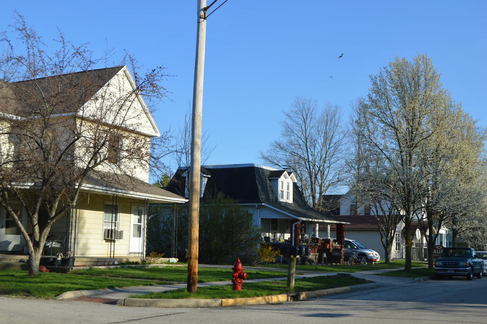 Main south of Fifth, Laura.jpg.