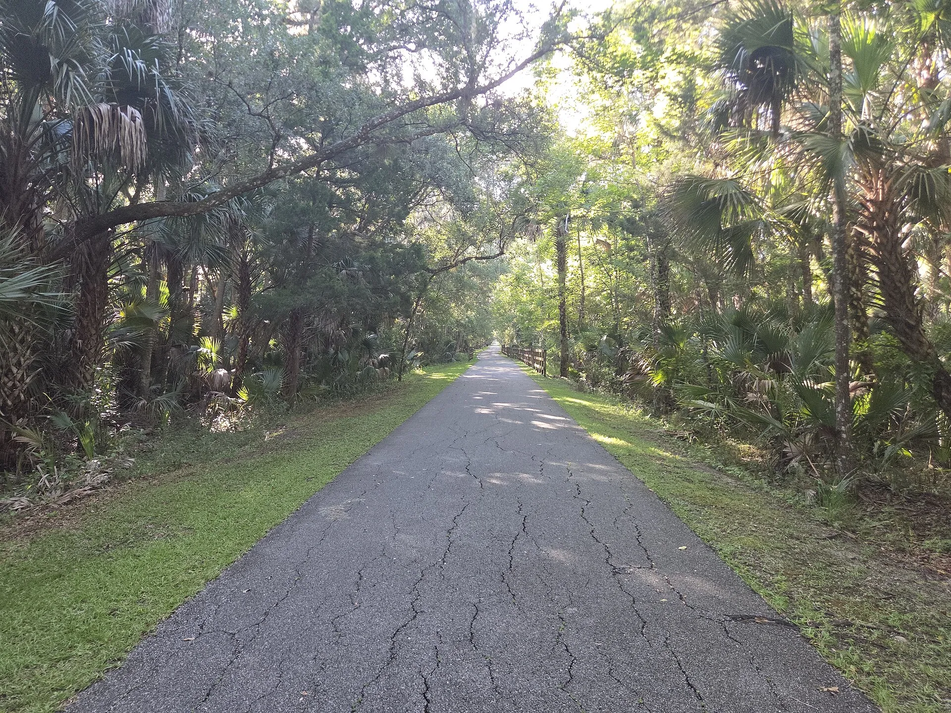 Eastward view of the East Central Regional Rail Trail in Deltona.