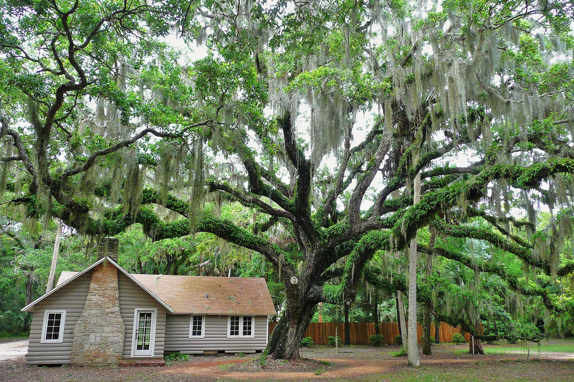 Washington Oaks State Gardens, Flagler County.