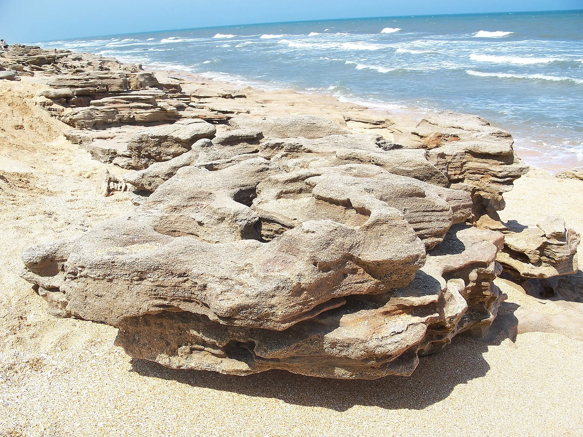 Coquina outcropping on the beach in Washington Oaks Gardens State Park, near Palm Coast, Florida.