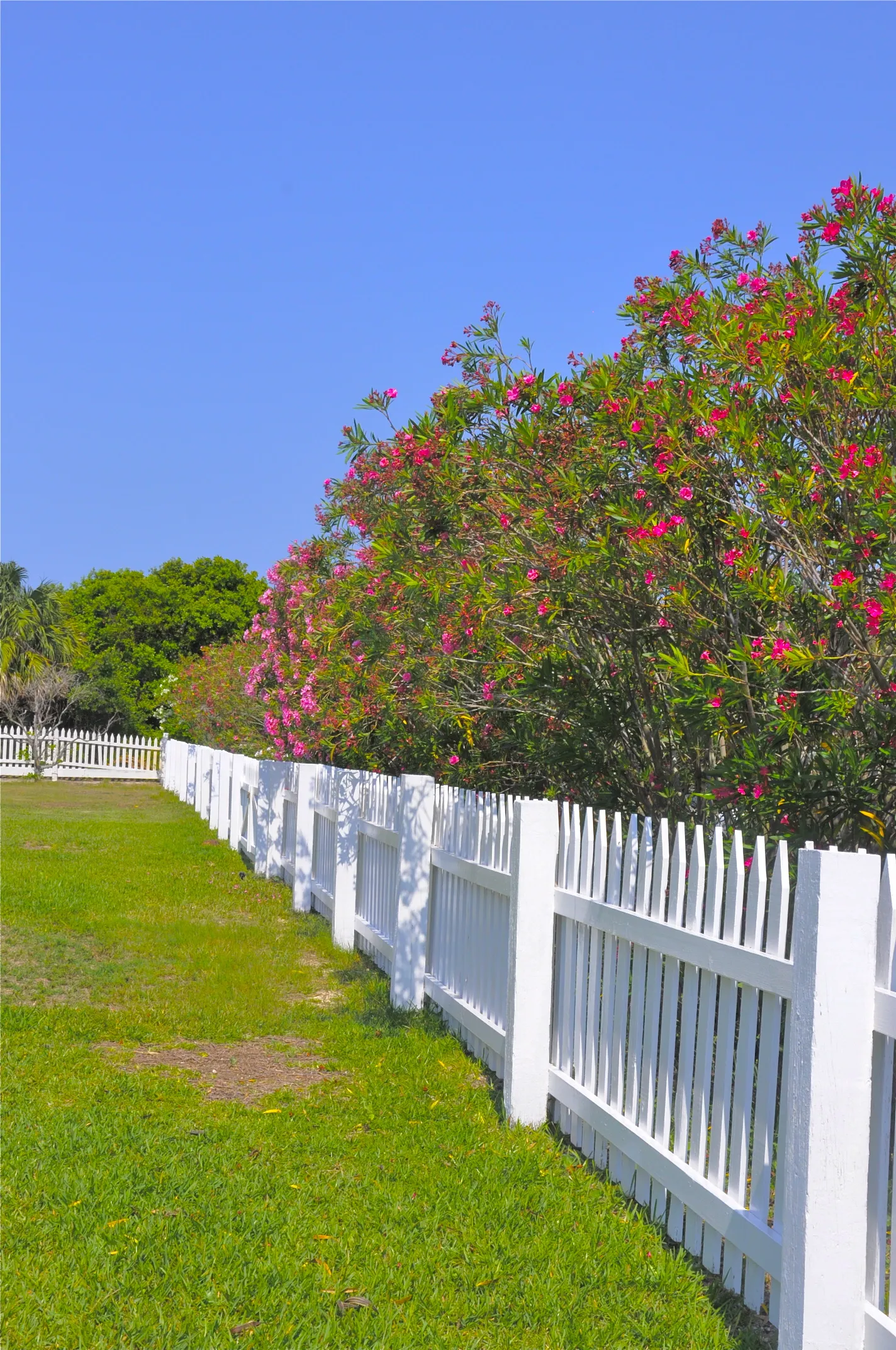 Shore Acres neighborhood in Holly Hill.