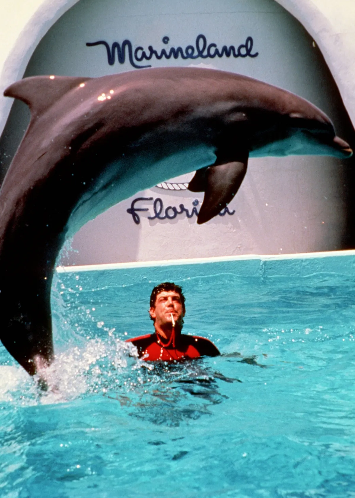 Dolphin show at Marineland of Florida.