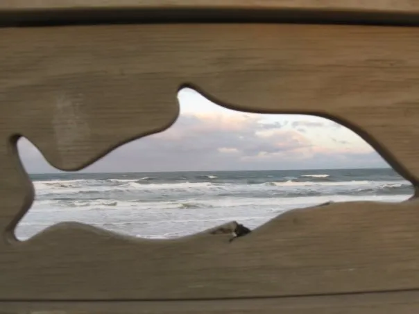 Beach in Marineland.