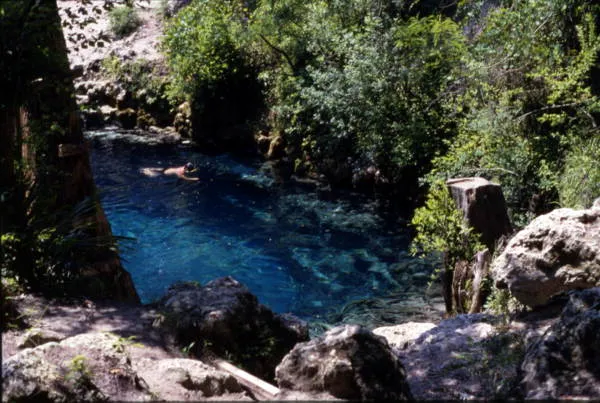 Historic view overlooking Blue Springs at the state park, Orange City — the largest spring on the St. Johns River.