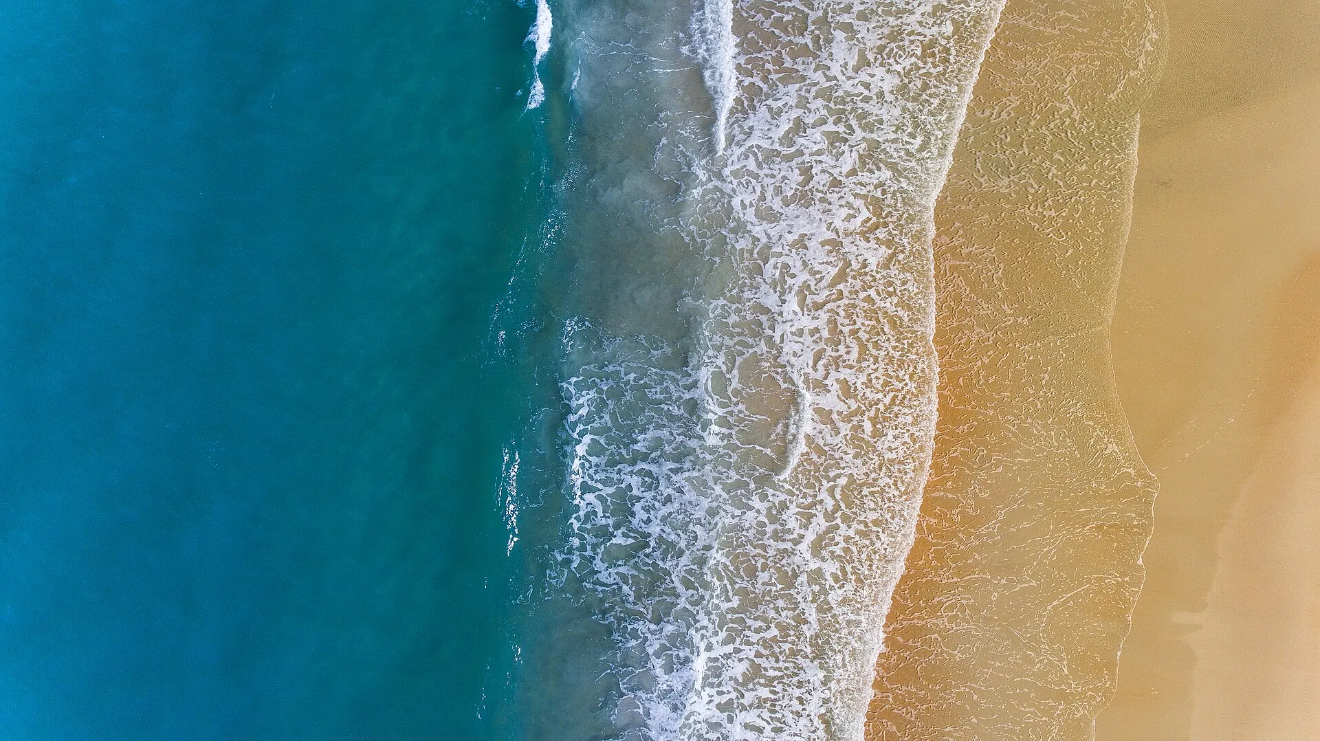 Drone view of the Palm Coast beach and ocean.