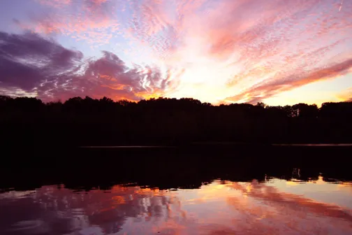 Clarkston (Michigan).