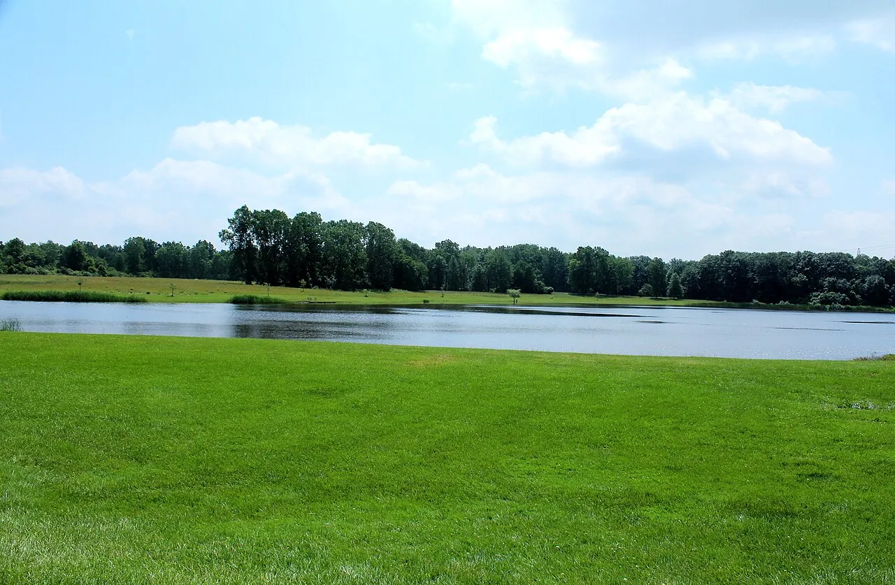 Washago Pond, Willow Metropark, Huron Township, Michigan. Camera location42° 07′ 49.02″ N, 83° 22′ 25.82″ W View this and other nearby images on: OpenStreetMap 42.130283; -83.373839