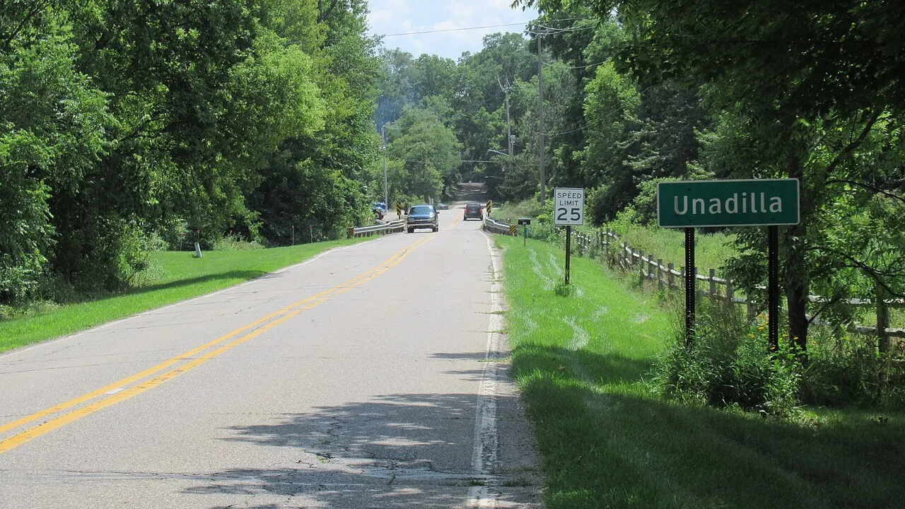 Unadilla Township, Michigan