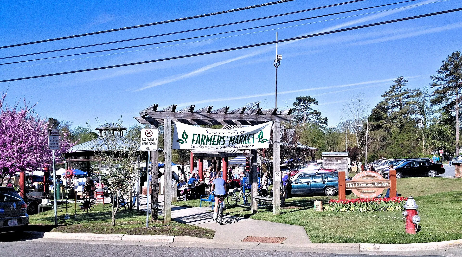 Carrboro Farmers' Market on April 13, 2013.