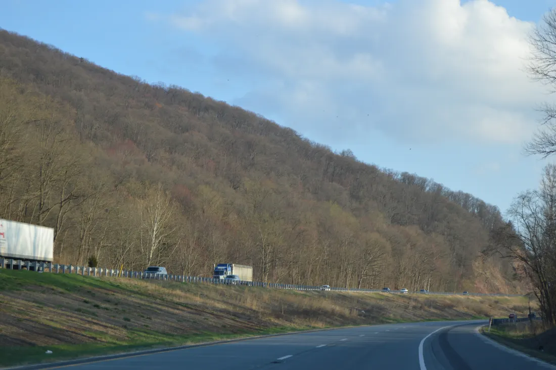 Buffalo Mountain in Greenwood Township.
