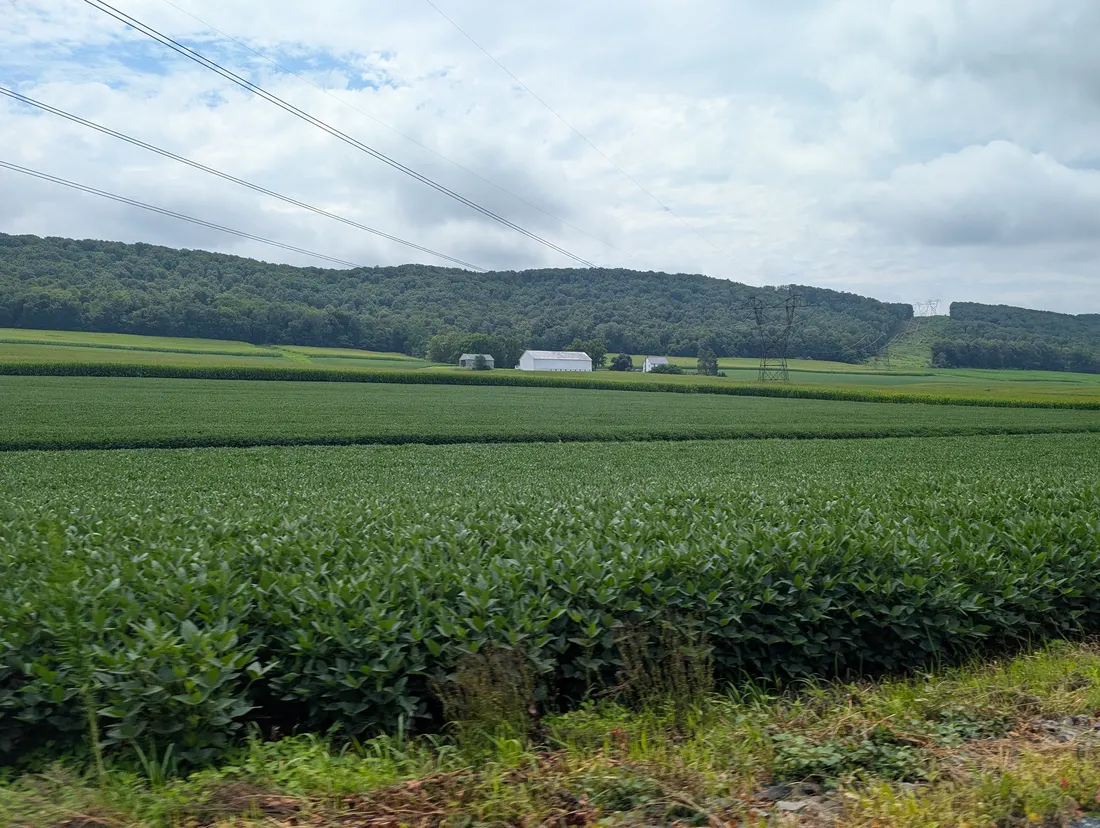Farm near Pfoutz Valley on PA 17, Liverpool Township.