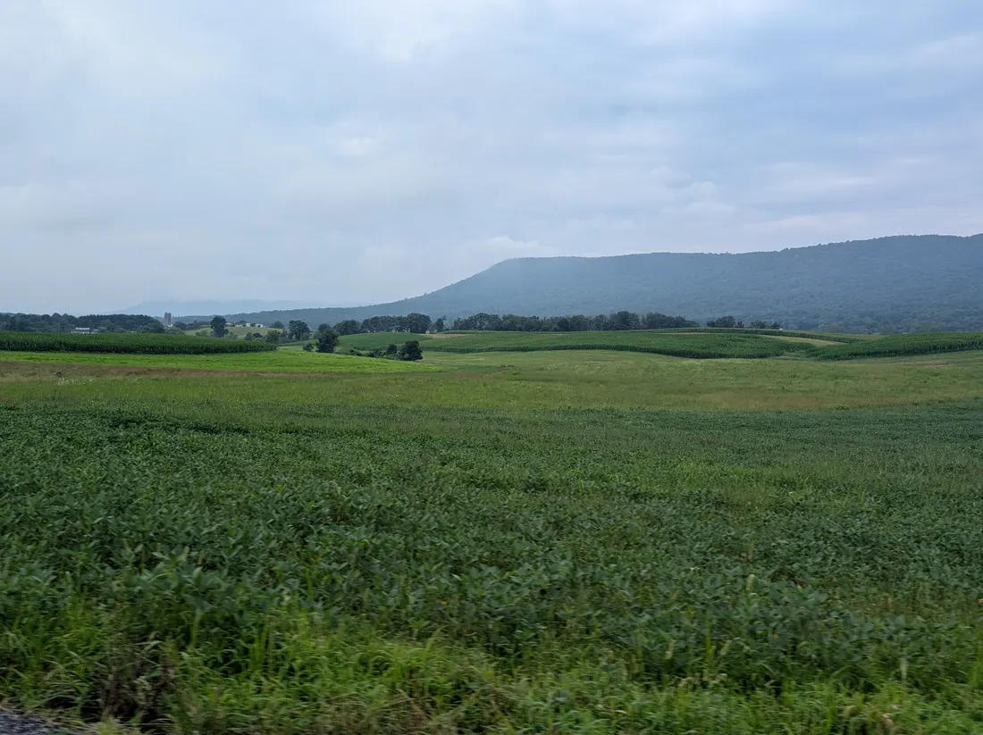 Farmland and Blue Mountain in Lower Frankford Township, July 2025.