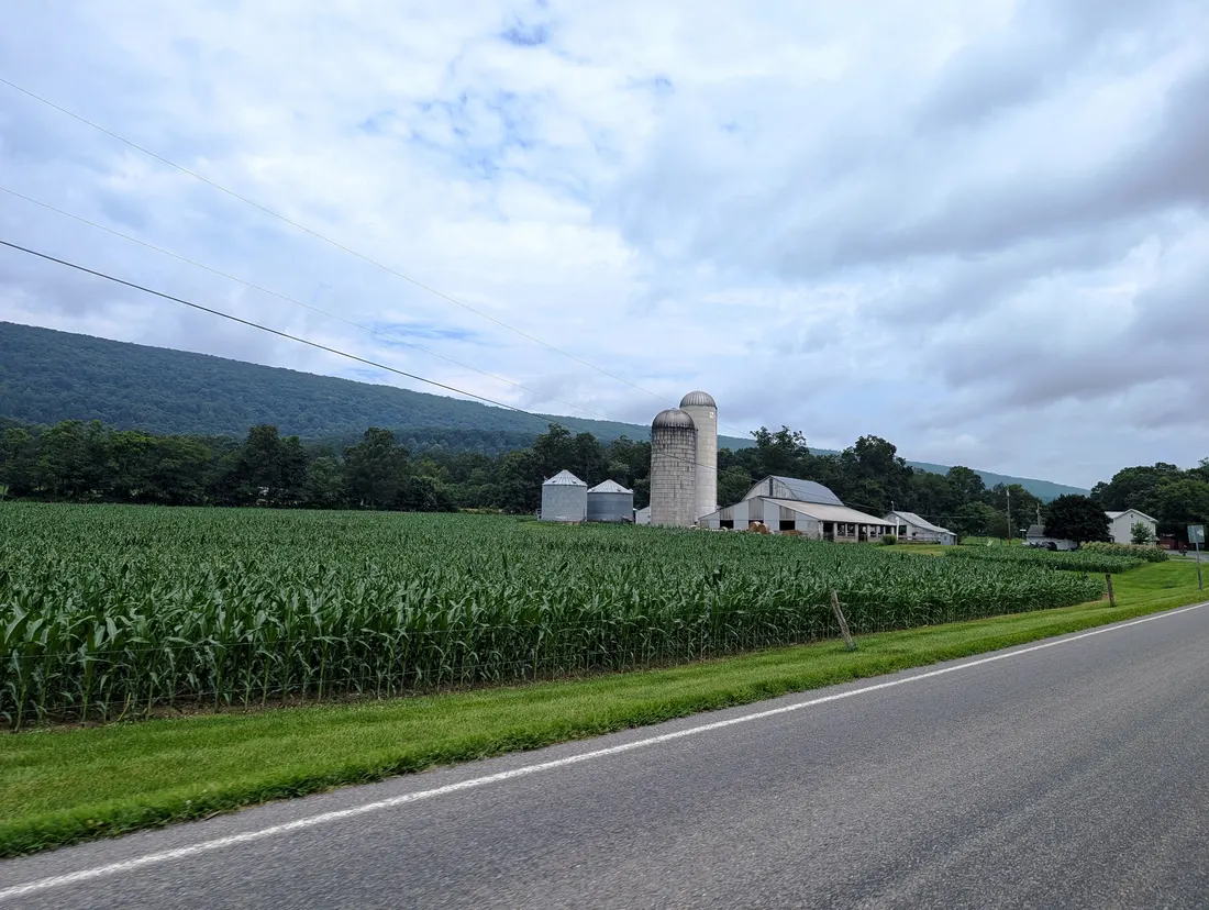 Farm off PA 17 near Donnally Mills, Tuscarora Township.