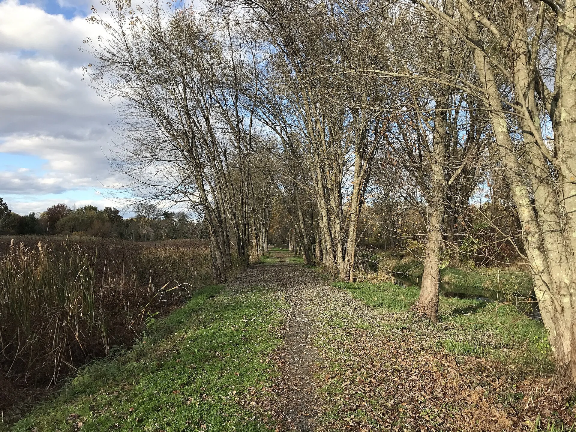 Hockanum River Hiking Trail, Ellington.