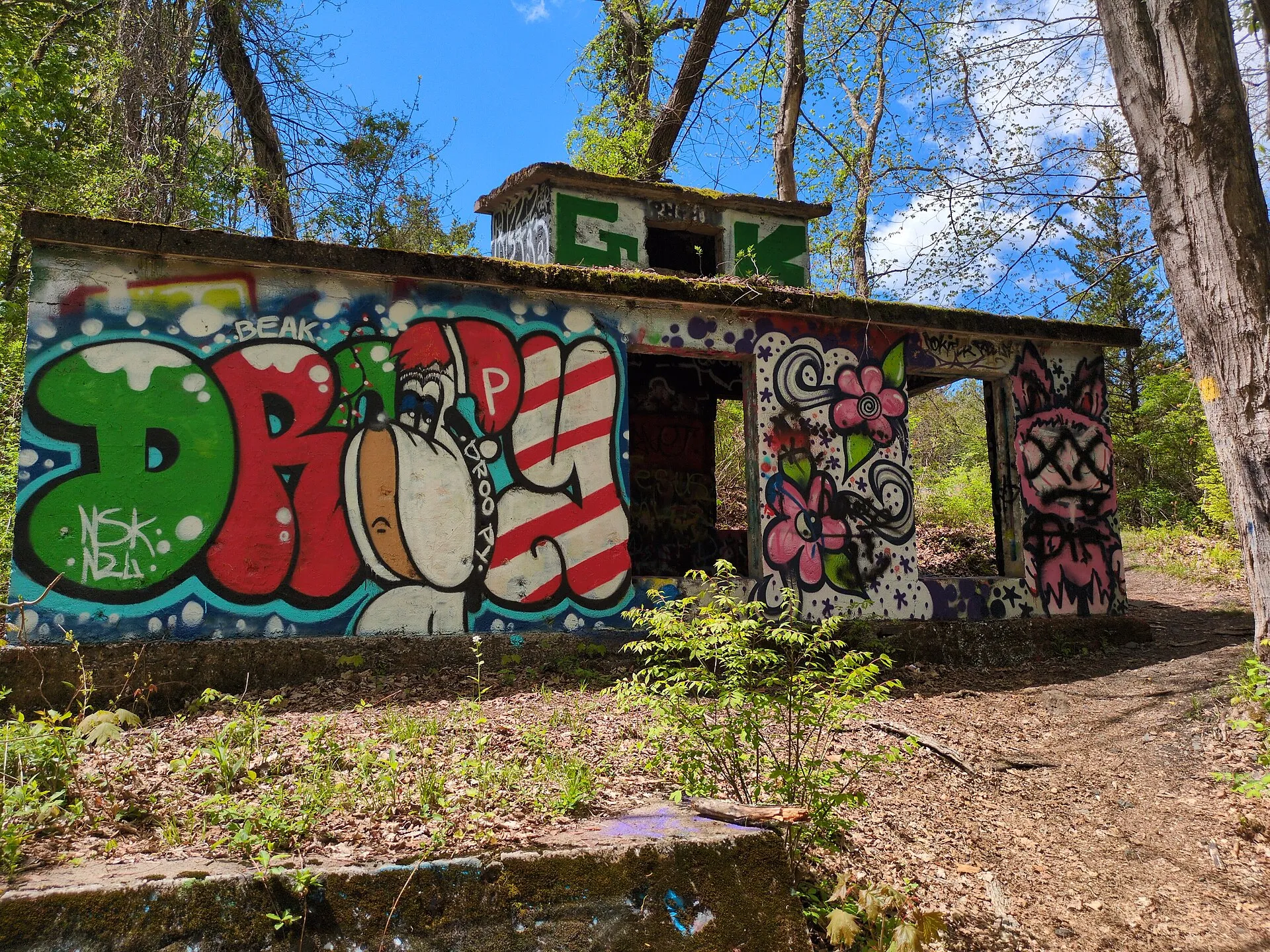 Ruins in Quarry Park, Rocky Hill.