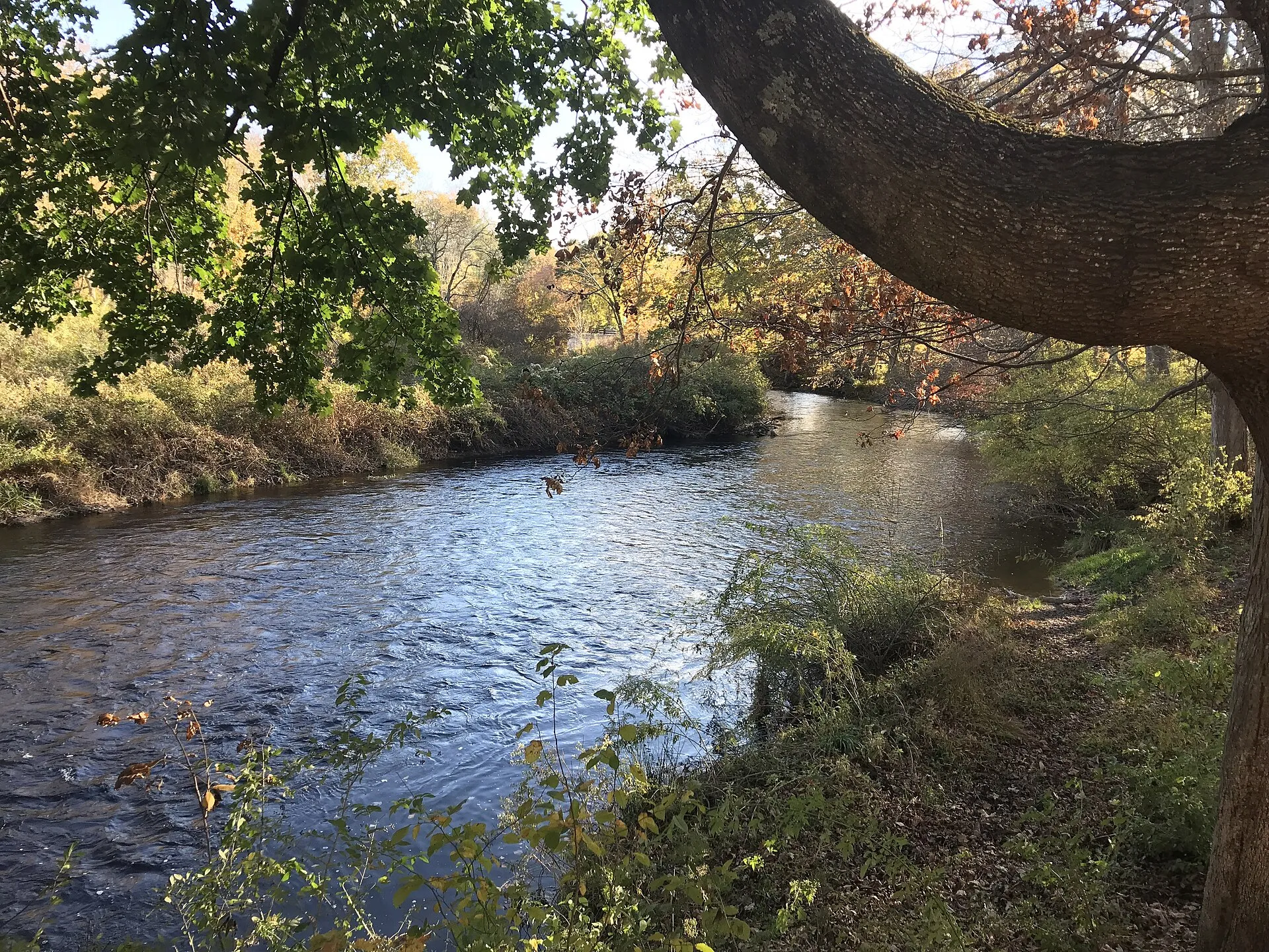 Willimantic River, Nye Holman State Forest, Tolland.