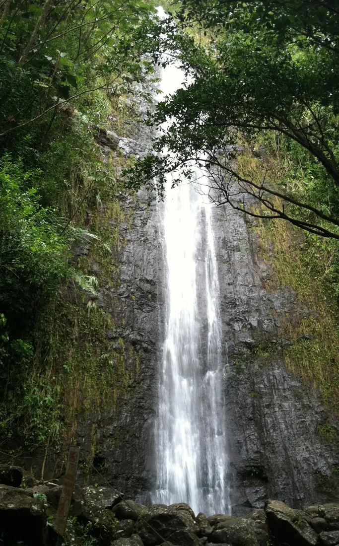 Mānoa Falls, Oʻahu.