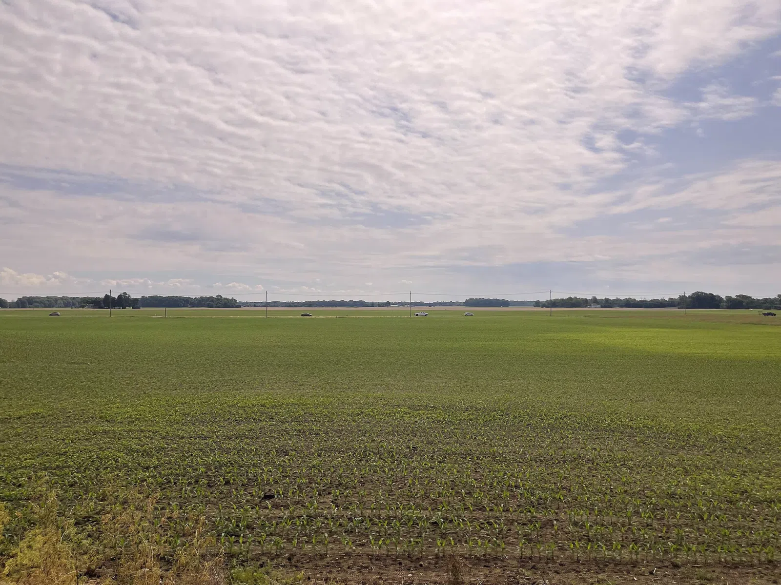 View of Cicero from the Nickel Plate Express