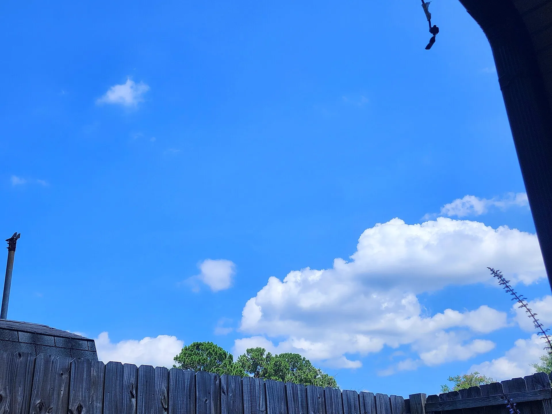 Blue sky over Orange Park, adjacent to Oakleaf Plantation.