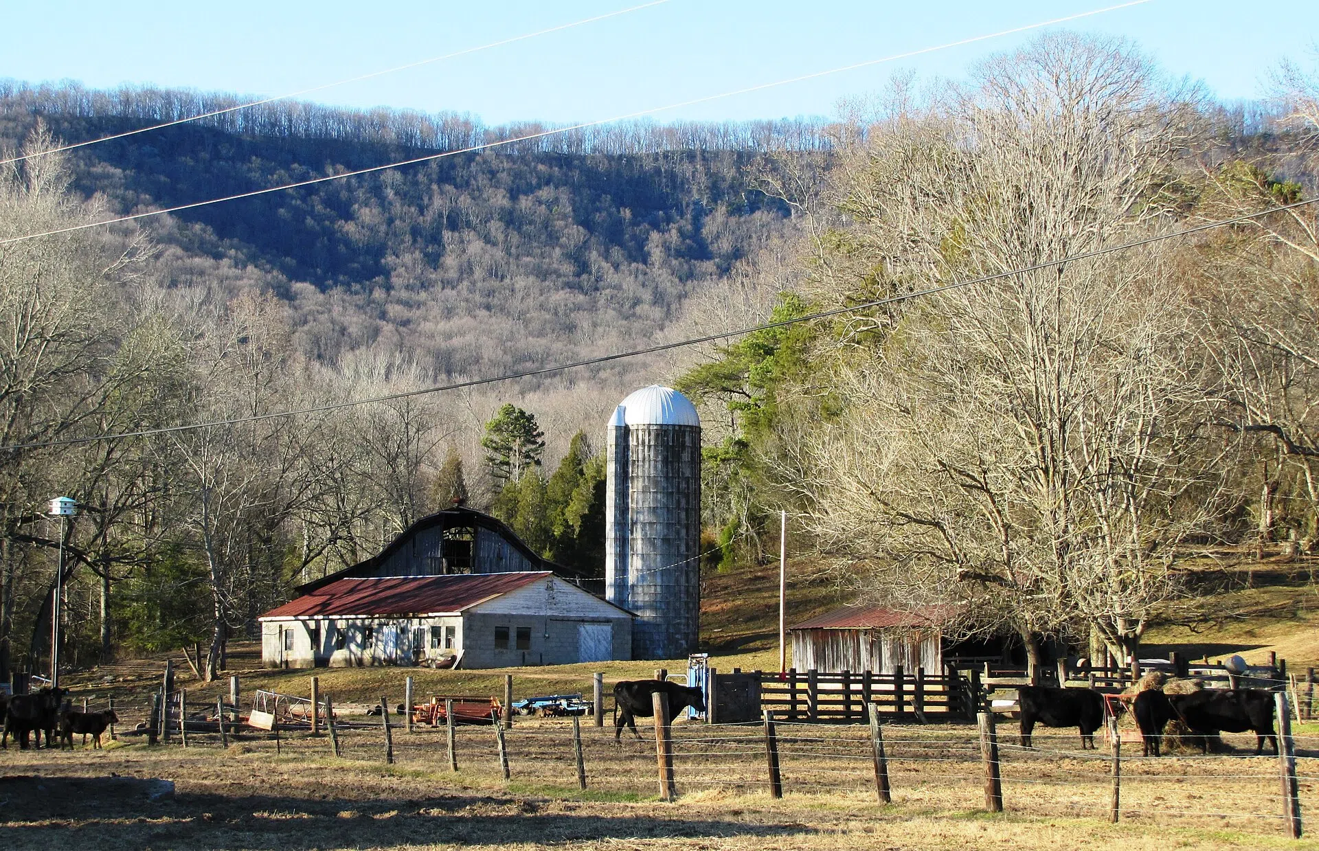 The NRHP-listed Valley View Farm in Harriman, Tennessee, with Walden Ridge in the background