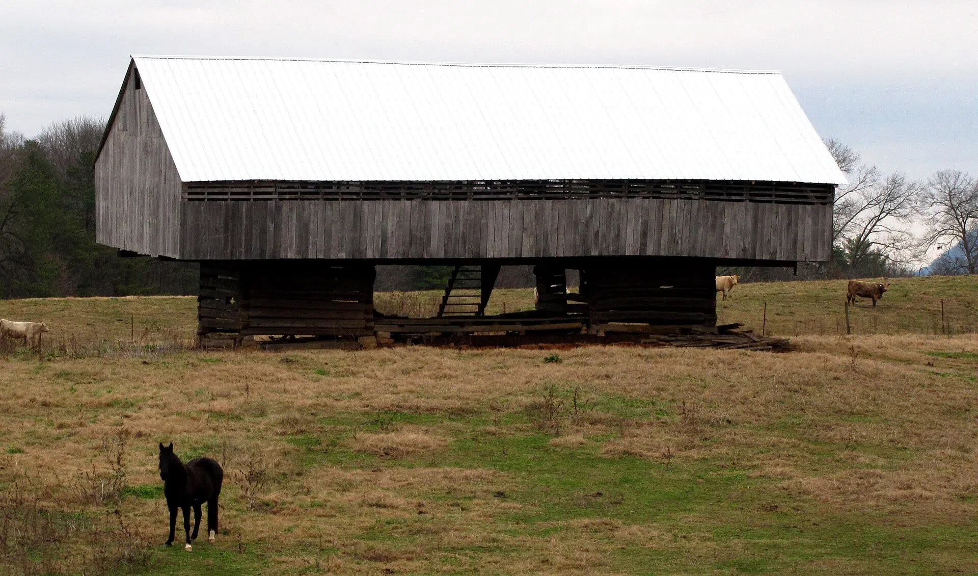 The NRHP-listed Carl Trundle Barn, a double-cantilevered barn built circa 1900 near Wildwood, Tennessee