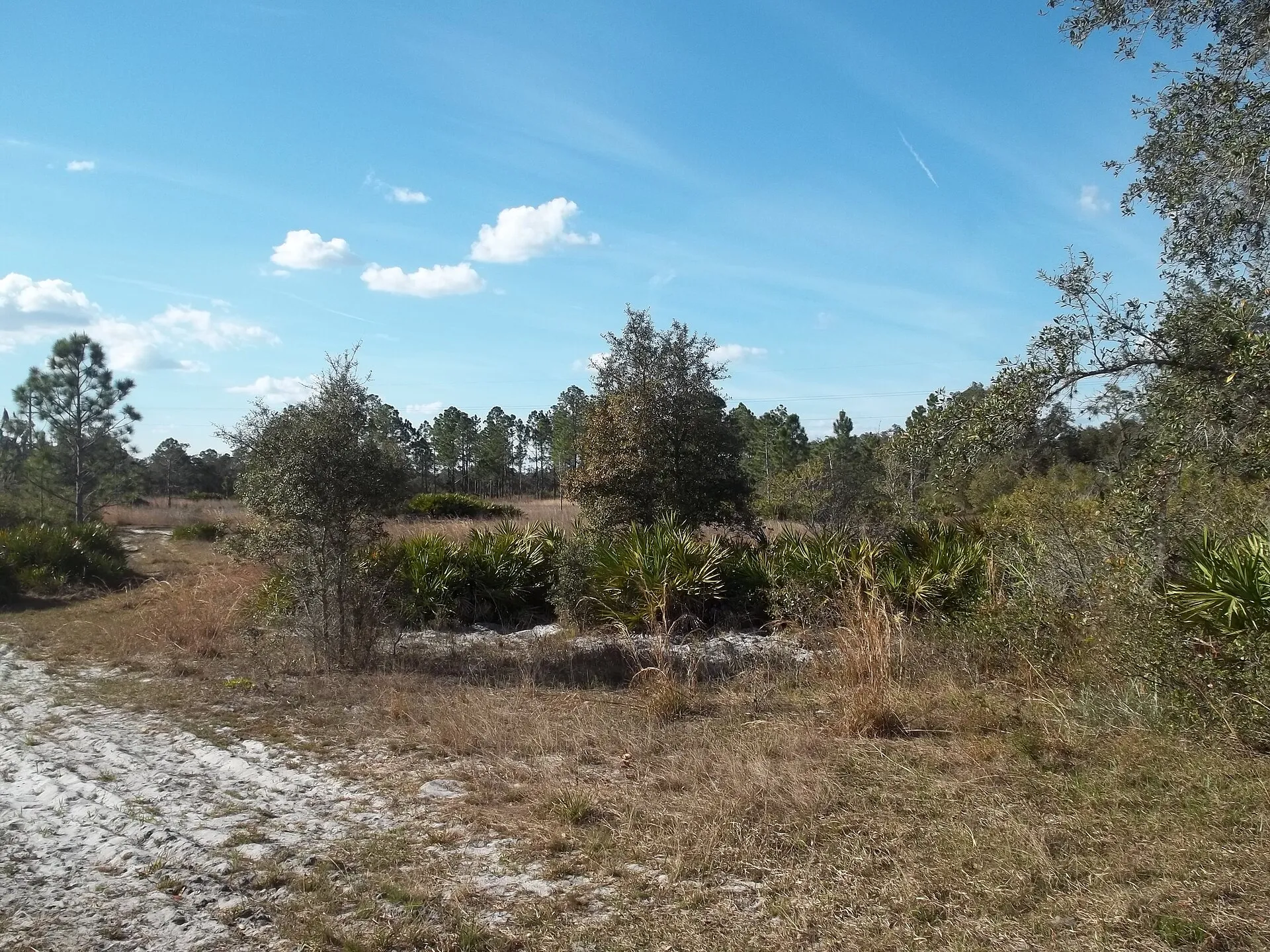 Florida State Road 60 near Indian Lake Estates, Florida.