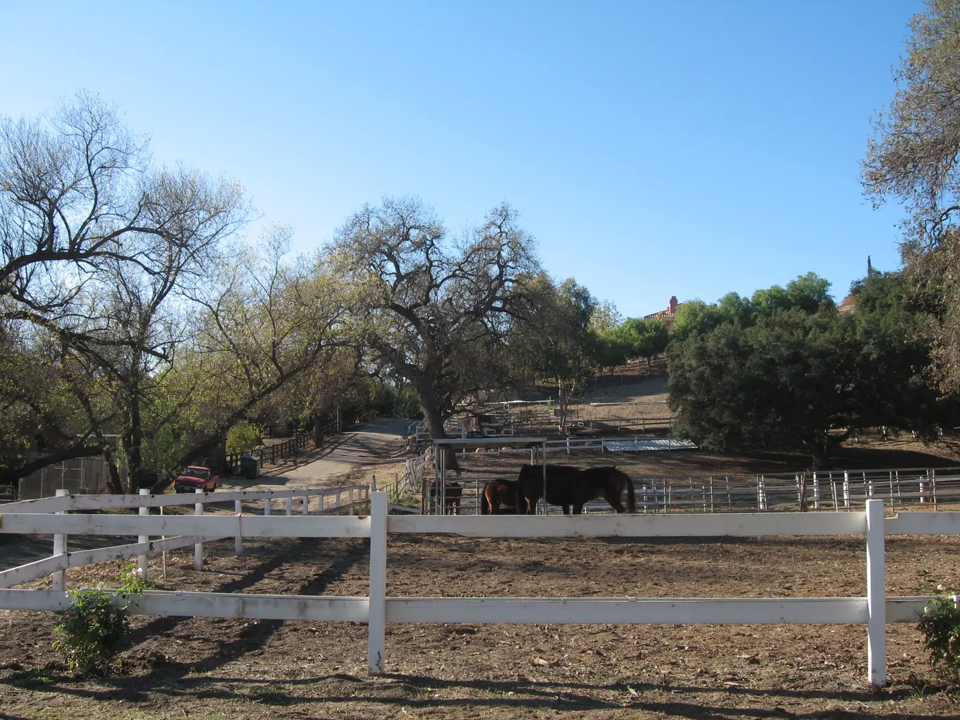 Horse ranch in Old Agoura