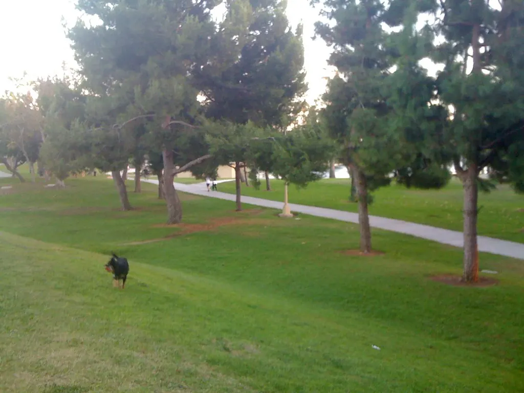 Lawns and trees in Alondra Park.