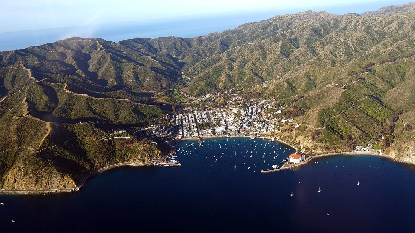 Avalon California by Don Ramey Logan