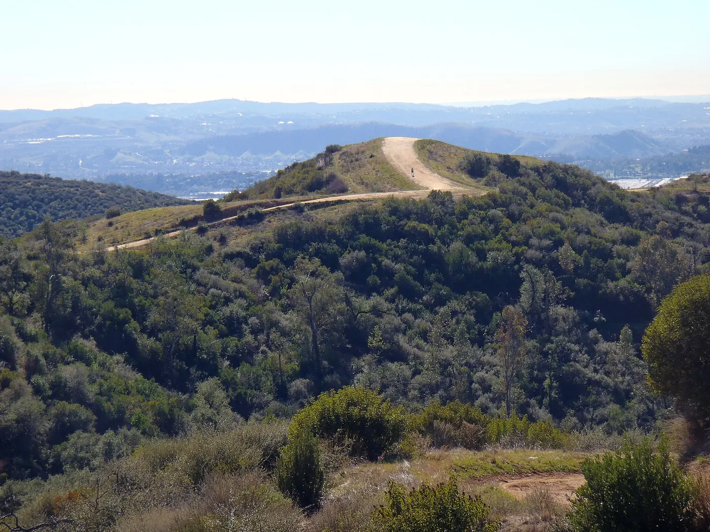 A view of a particularly steep and sinuous trail branching out of the Claremont Hills Wilderness Park and entering Marshall Canyon to the West. Most popular with mountain bikers, but still accessible to hikers. Claremo