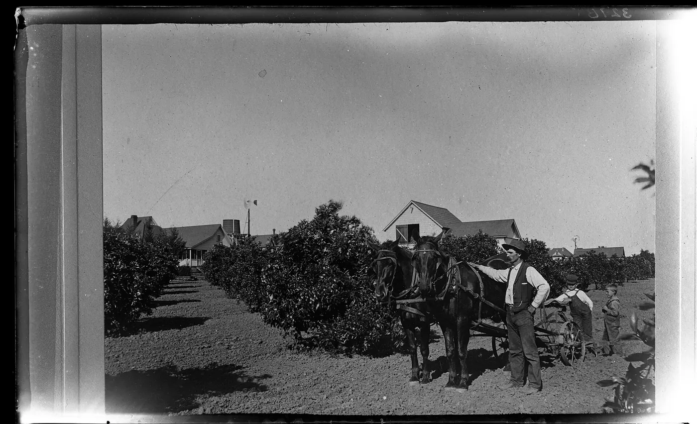 329. B. Ranch, Covina Cal, 1913 (orig 1898)