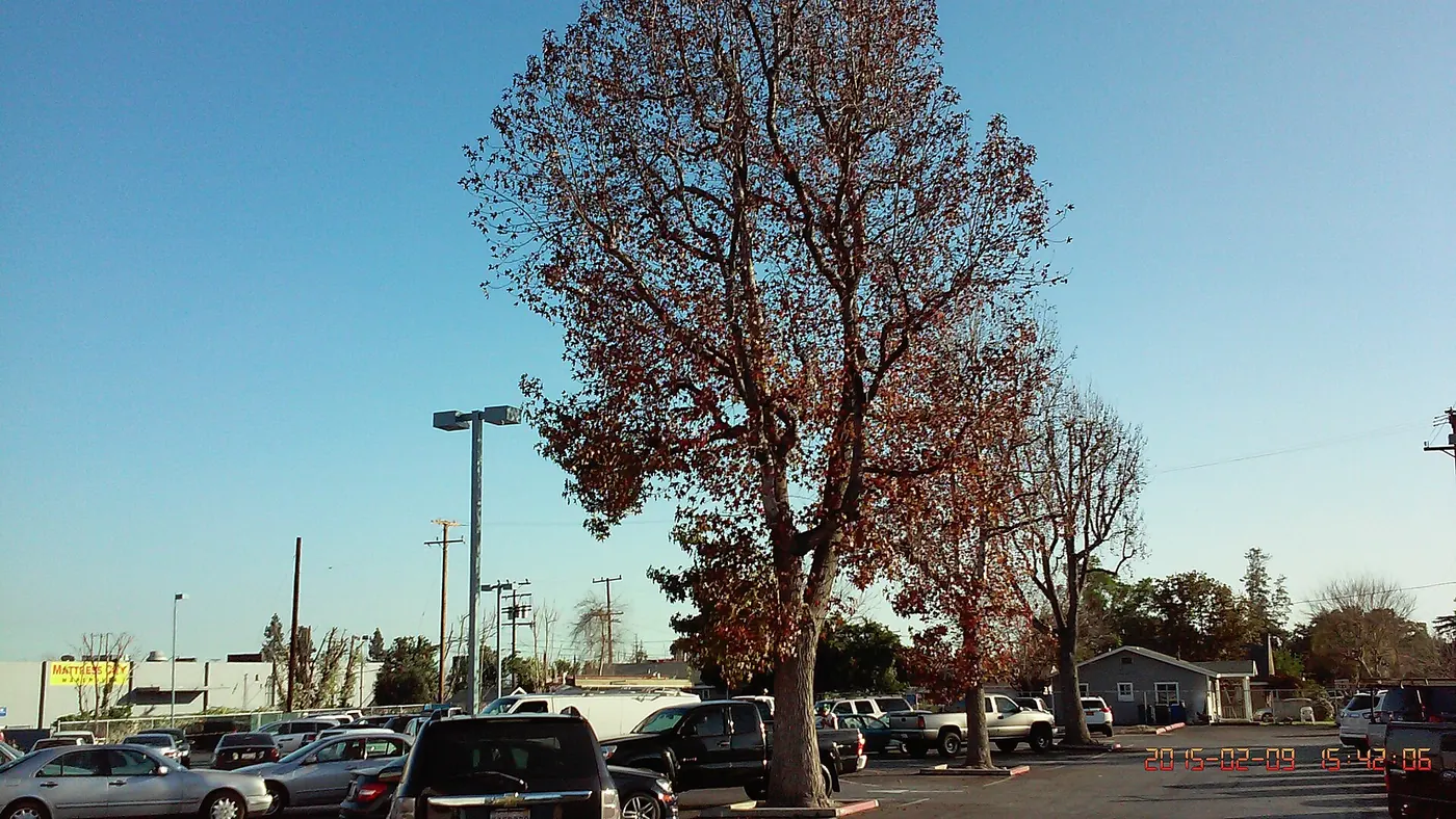 East Pasadena, CA 91107, USA