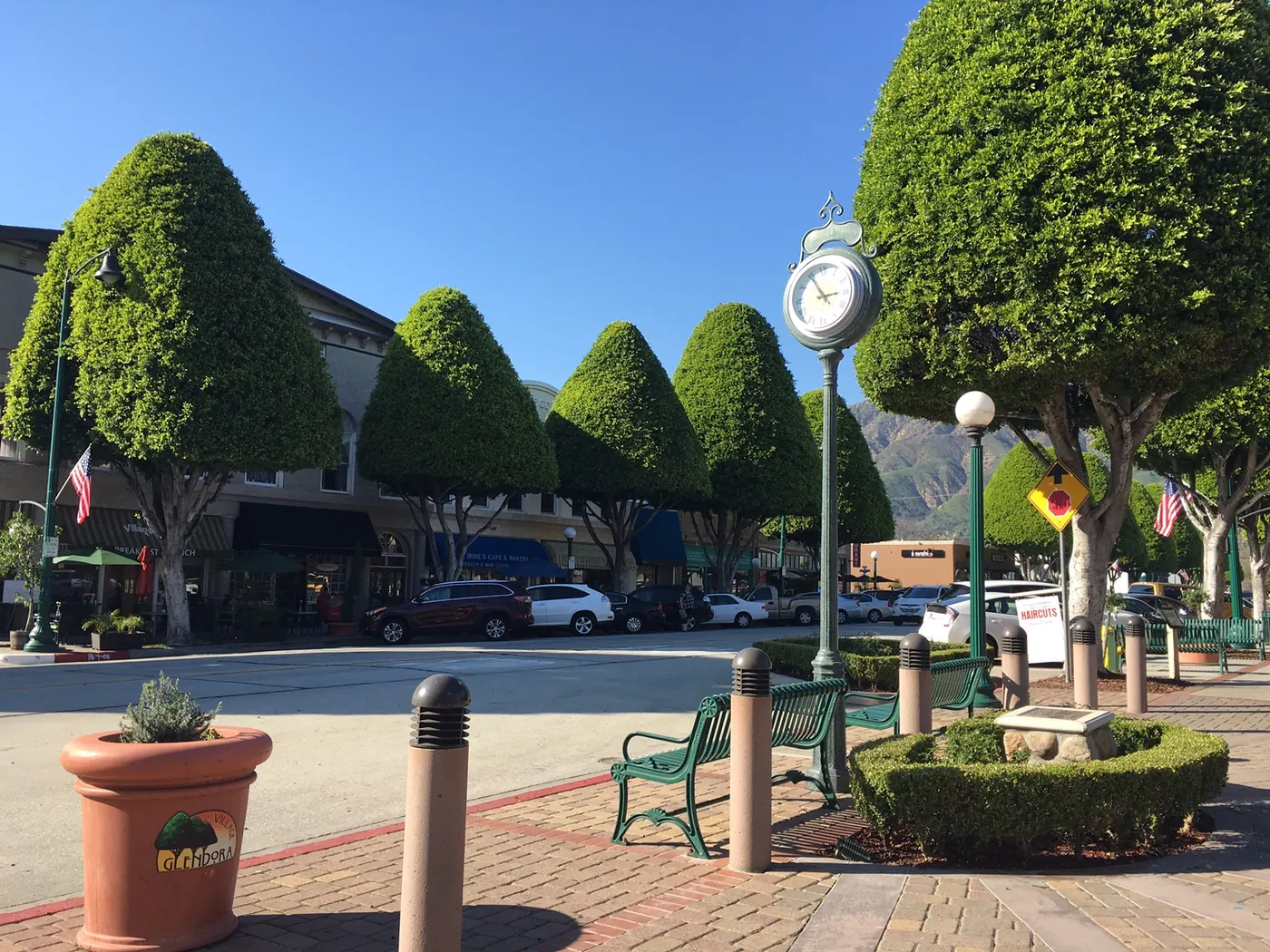 Downtown Glendora with its famous ficus trees