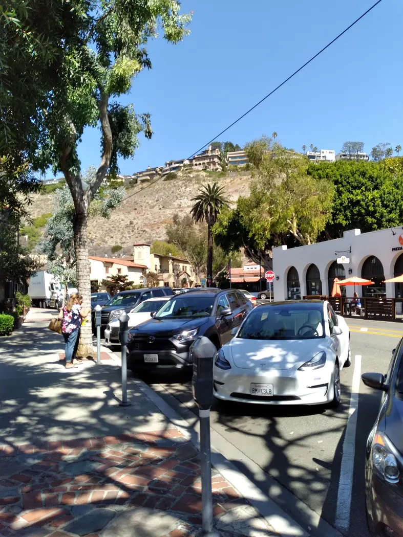 Forest Ave..