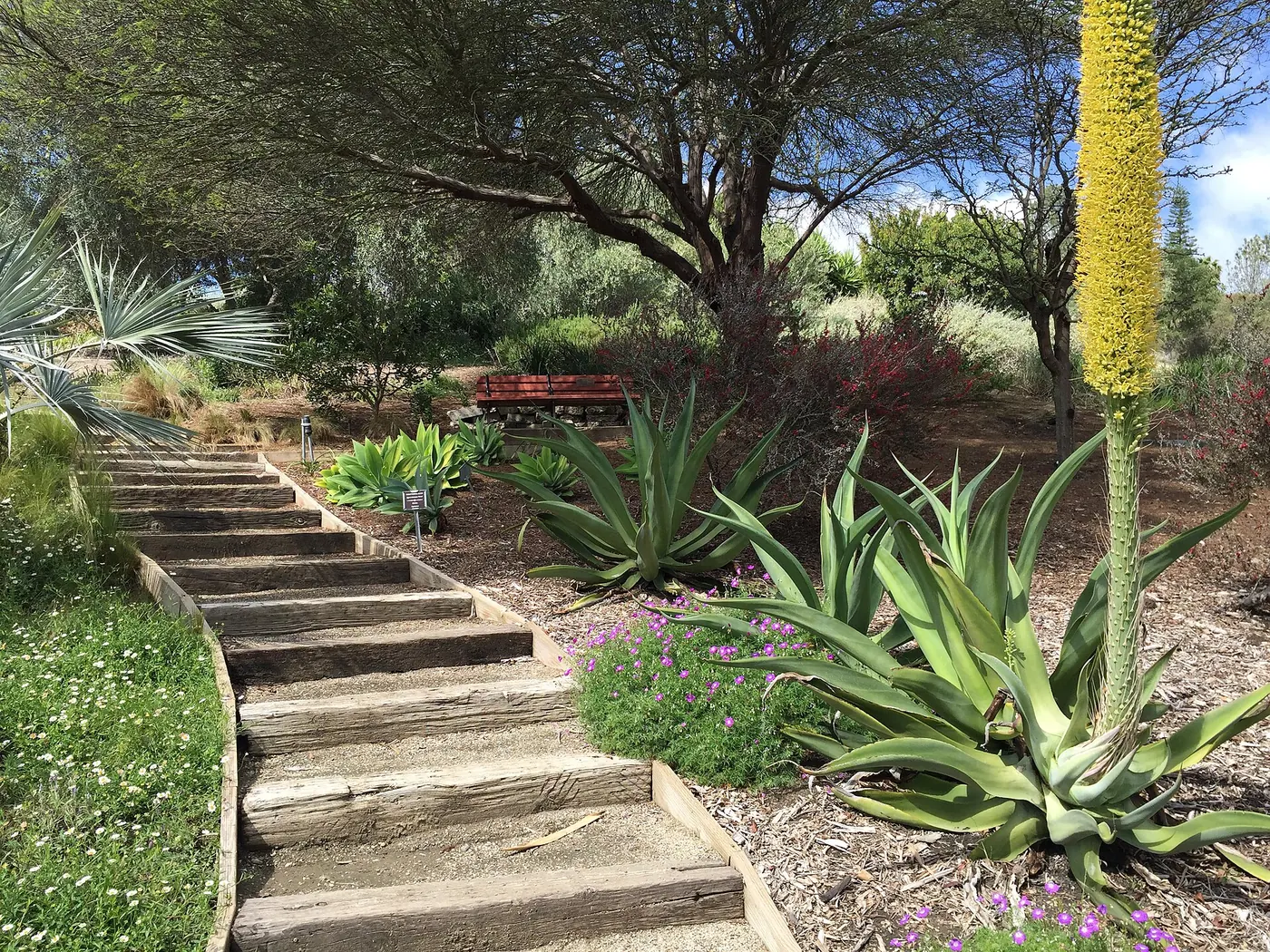 The Niguel Botanical Preserve in Laguna Niguel, California, is open daily from dawn to dusk..