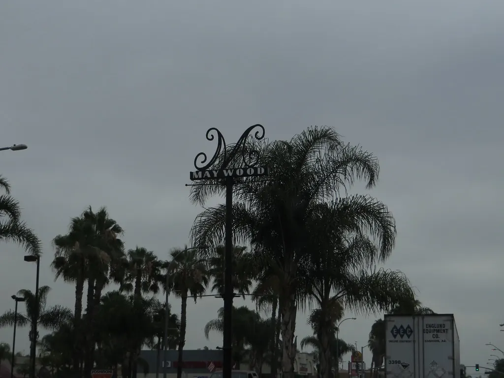 The Maywood "M" street marker above a palm-lined street.