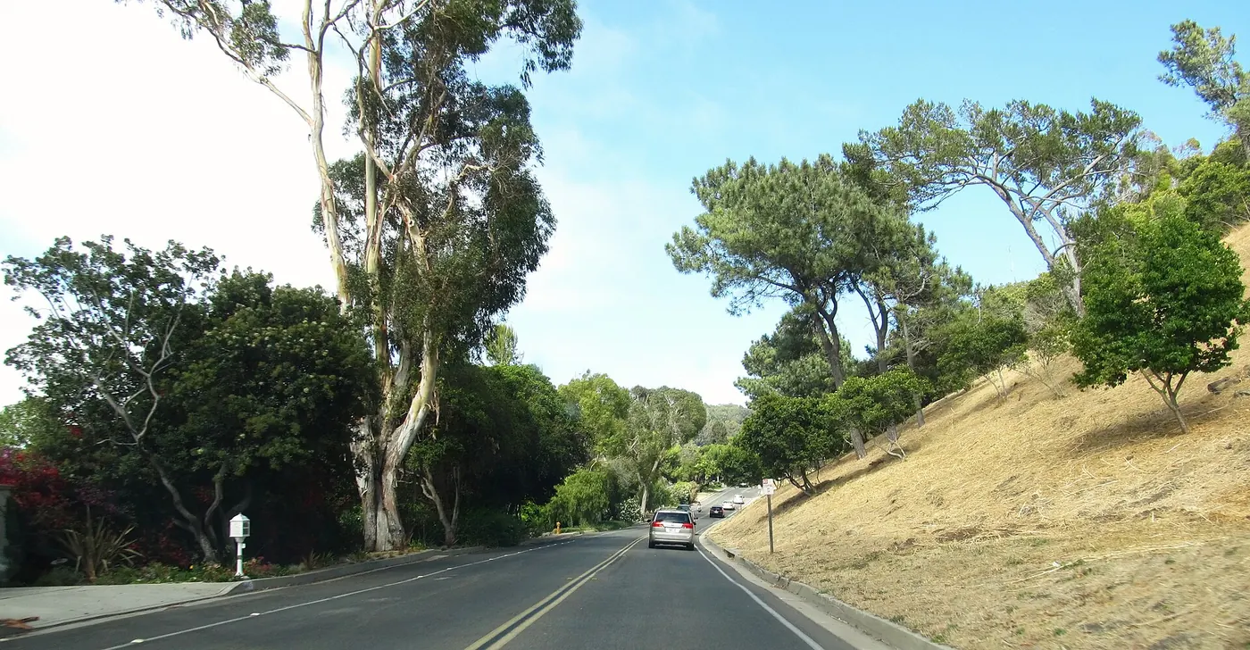 Tree-lined road in Palos Verdes Estates