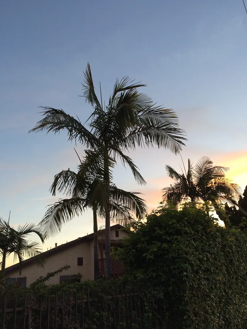 California, USA - March 2016 Orange County, California in March 2016.