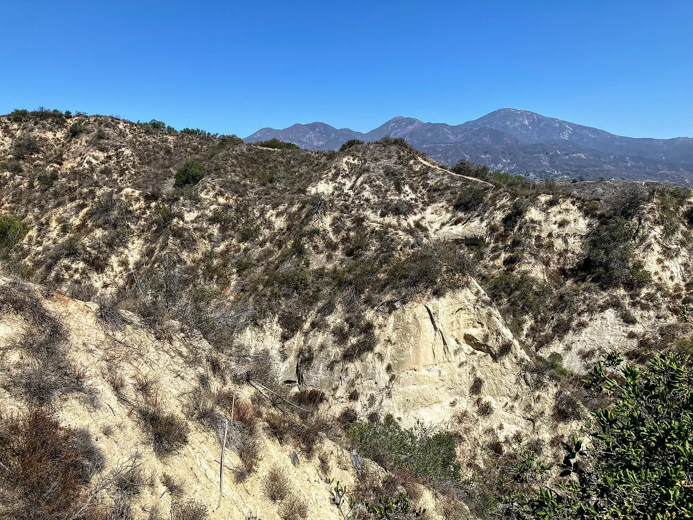 O'Neill Regional Park, CA.