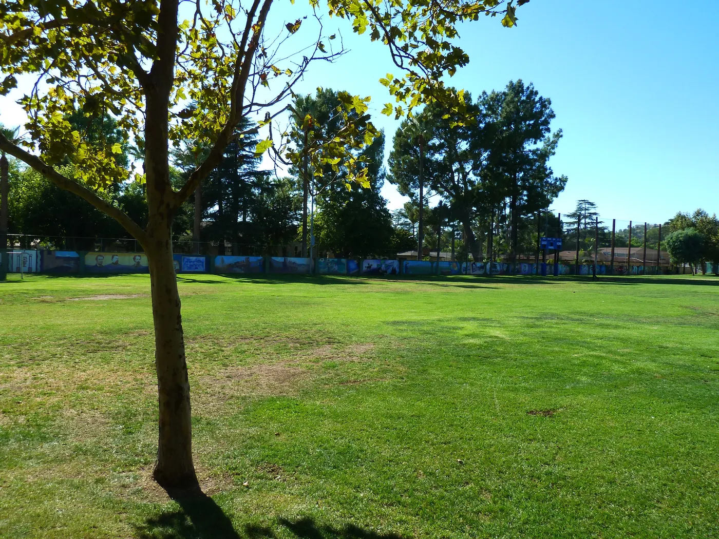 San Fernando, CA: View NW, Las Palmas Park, 2011