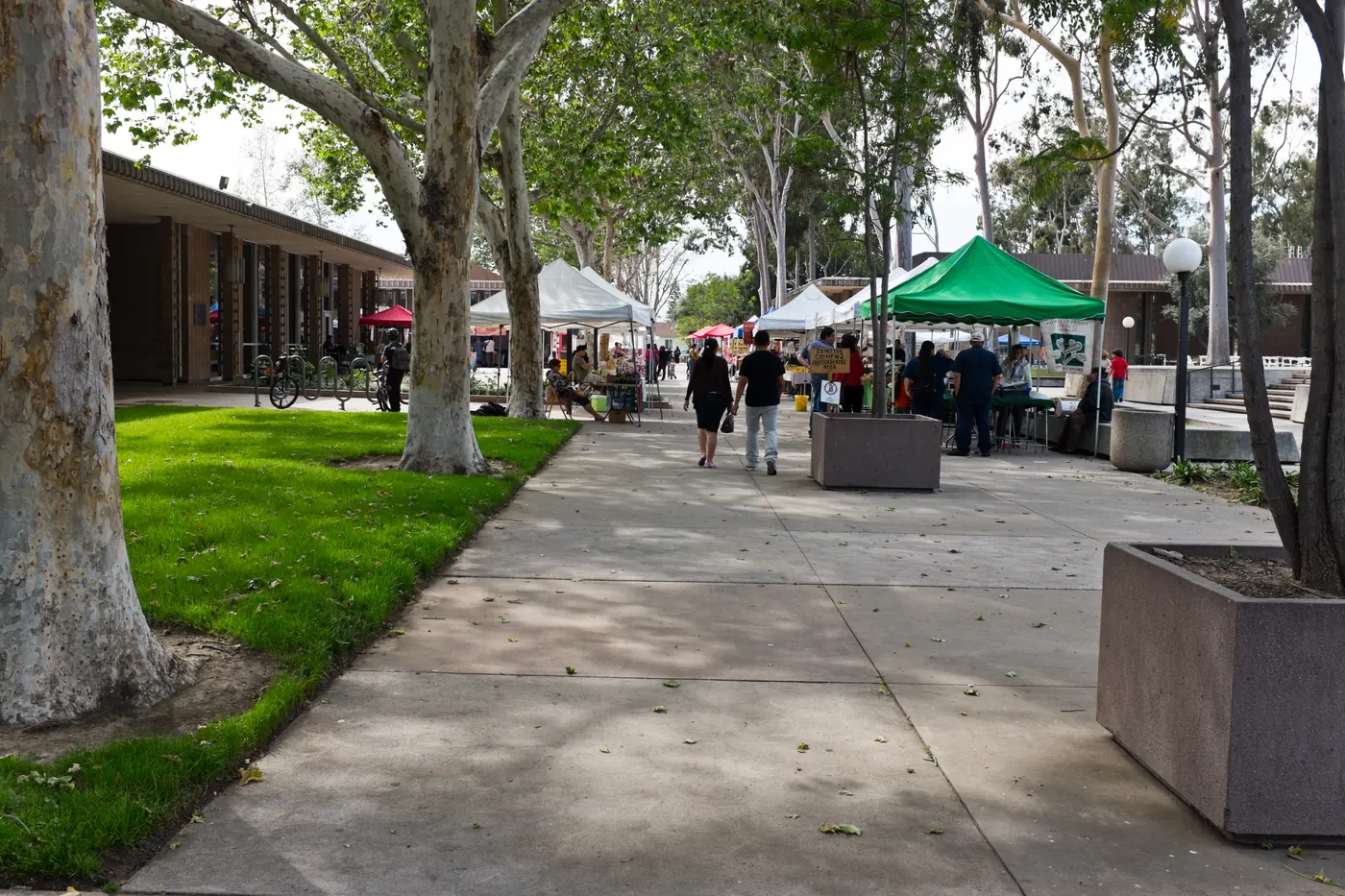 Farmers market at the city hall in Santa Fe Springs, California