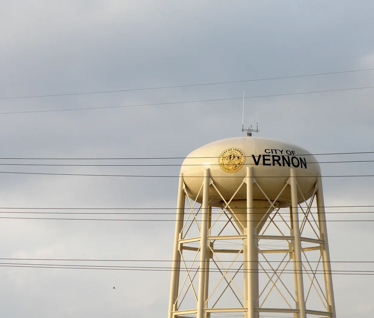 The municipal water tower in Vernon, California