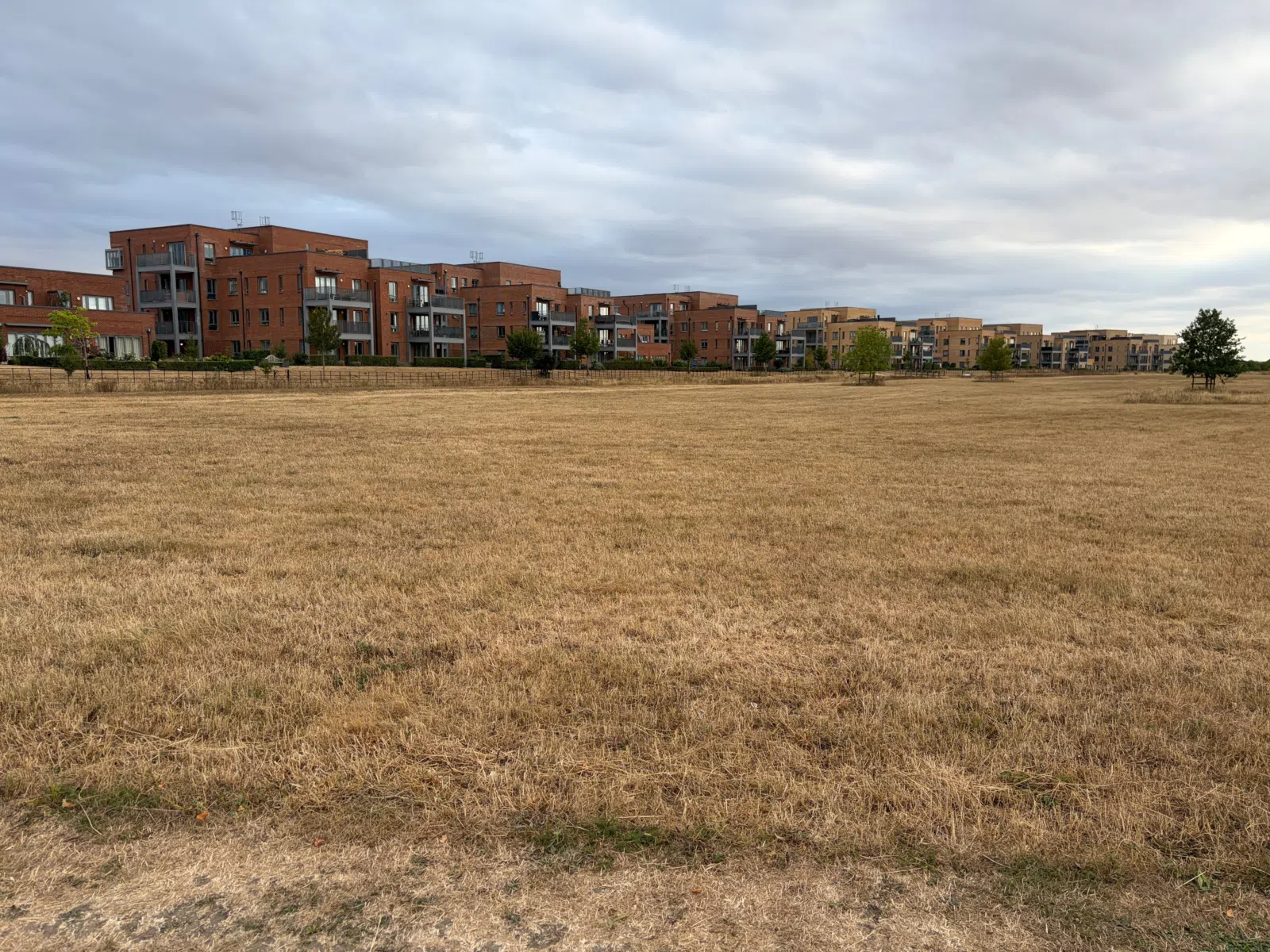 Edge of Cambridge - Renard Way