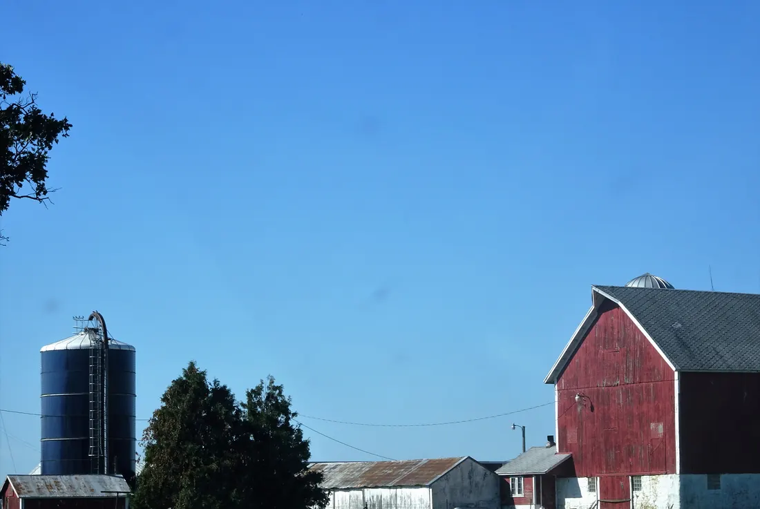 Dairy Farm near Belleville