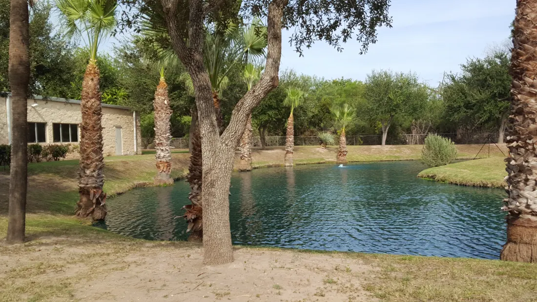 View of the palmhurst 1 area