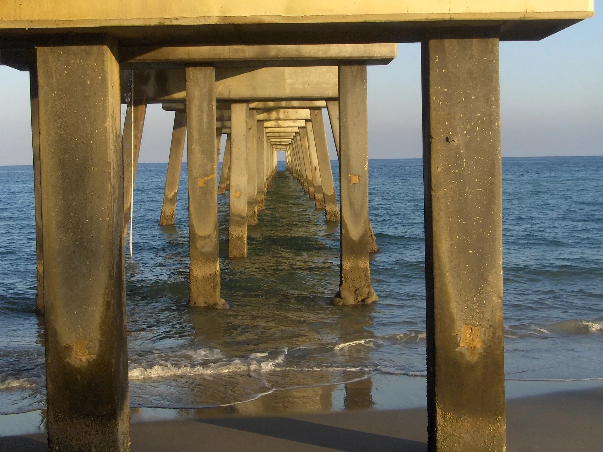 Under the Dania Beach Pier.