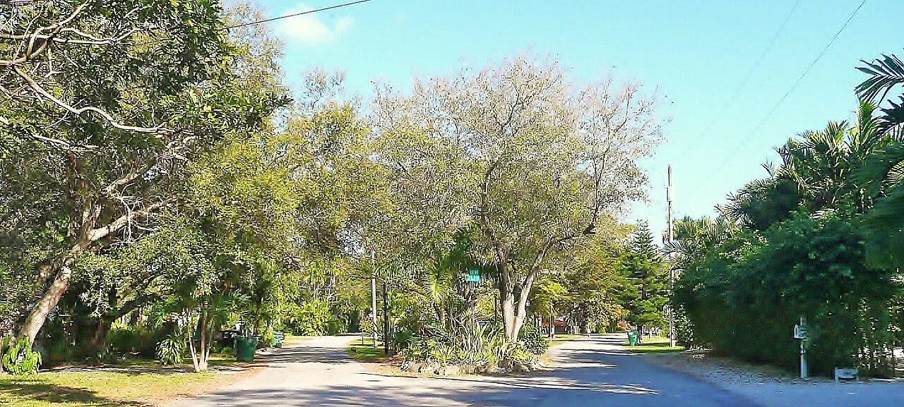 Street view in El Portal.